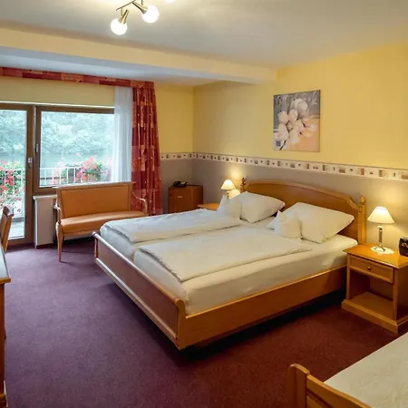 Bisenius Hotel