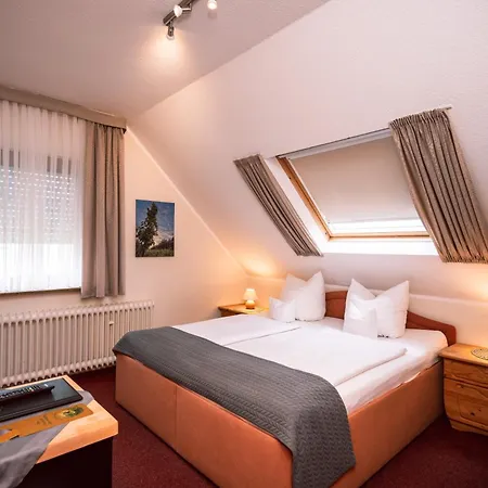 Szálloda Bisenius 3*